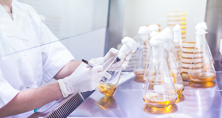 Image showing Female scientist working with laminar flow at corona virus vaccine development laboratory research facility.