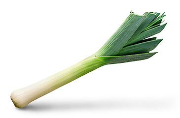 Image showing Fresh green leek top view