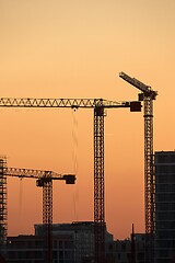 Image showing Tall Construction Cranes