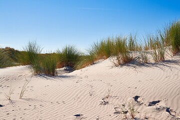 Image showing Sand dunes with grass