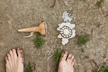 Image showing Dropped ice-cream melting on the ground