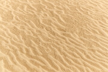Image showing Sand of a beach