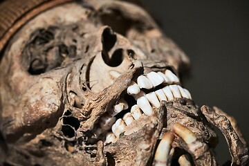 Image showing Skulls of a mummy