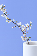 Image showing Spring card with close-up ceramic vase and blooming cherry twig.