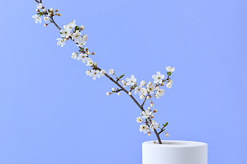 Image showing Spring festive card with cherry blooming twig in a ceramic vase.