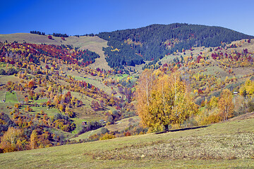 Image showing Autumn hill with colorful trees