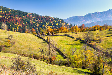 Image showing Rural scene on autumn valley