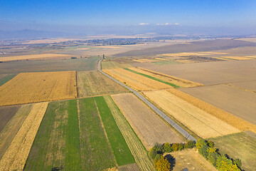 Image showing Aerial view of autumn fields