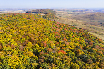 Image showing Flying drone above autumn forest