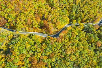 Image showing Trail crossing the autumn forest.