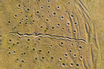 Image showing Holes on earth surface