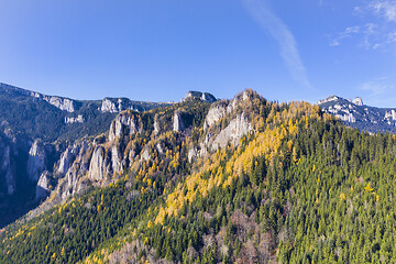 Image showing Autumn mountain landscape in the Carpathians, yellow larch tree