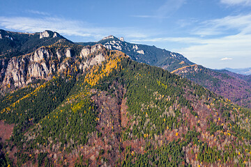 Image showing Beautiful colored forest on a rocky mountain