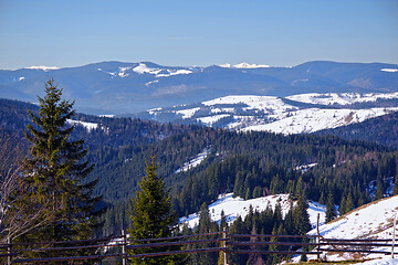 Image showing Rural winter landscape, hills and evergreen forest