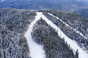 Image showing Ski slopes during winter, aerial view