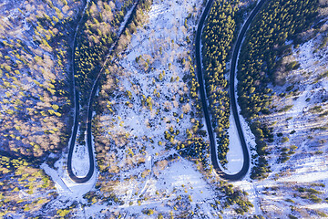 Image showing Winding  road in winter forest