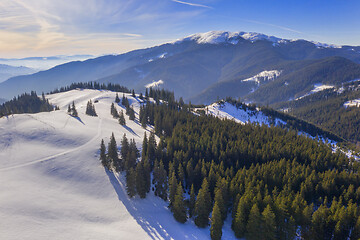 Image showing Green forest and snowy mountains at sunrise