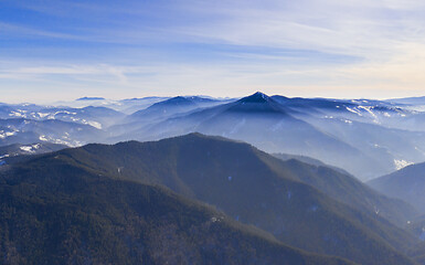 Image showing Mountain winter crest