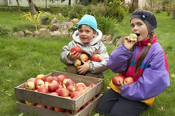 Image showing Outdoors with apples