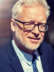 Image showing close up of senior businessman in eyeglasses