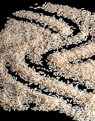 Image showing Abstract background scattered dry rice