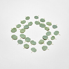Image showing Rhombus frame from leaves of Eucalyptus plant on a light grey background.