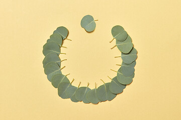 Image showing Creative round frame from green small leaves of Eucalyptus on a sand yellow background.