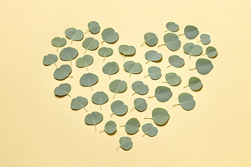 Image showing Creative heart pattern from leaves of Eucalyptus plant on a sand yellow background.