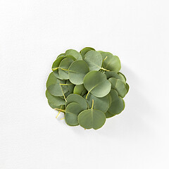 Image showing Round heap from evergreen Eucalyptus leaves on a white background.