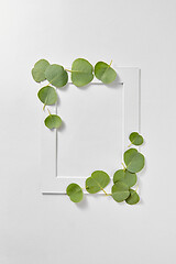 Image showing Handcraft photo frame from green leaves of Eucalyptus plant.