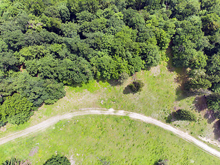 Image showing Green forest and road