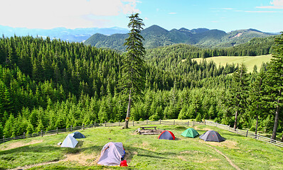 Image showing Forest camping with beautiful view