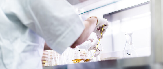 Image showing Female scientist working with laminar flow at corona virus vaccine development laboratory research facility.