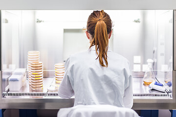 Image showing Female scientist working in corona virus vaccine development laboratory research facility.