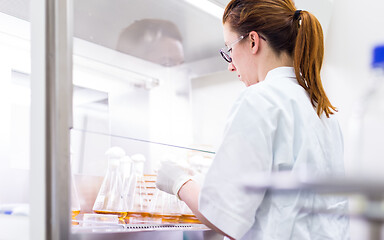 Image showing Female scientist working with laminar flow at corona virus vaccine development laboratory research facility.