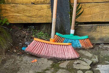 Image showing Brooms in a garden