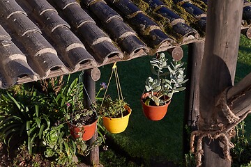 Image showing Flower pots and plants on a backyard terrace