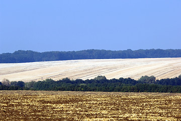 Image showing Harvest time