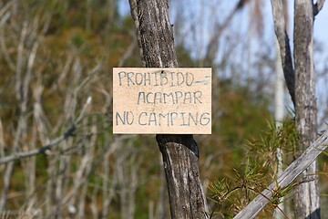 Image showing No camping sign on a tree in Spanish and English
