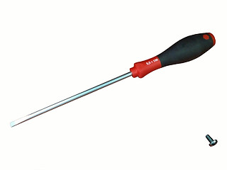 Image showing Screwdriver and the screw on