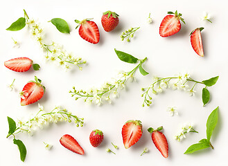 Image showing blooming bird cherry and strawberries