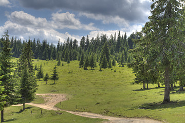 Image showing Hiking footpath