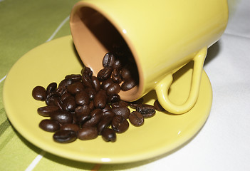 Image showing Brazilian coffee grains in a cup