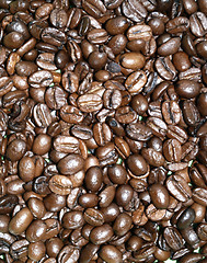 Image showing Brazilian coffee grains