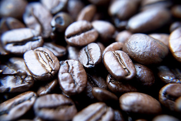 Image showing Brazilian coffee grains