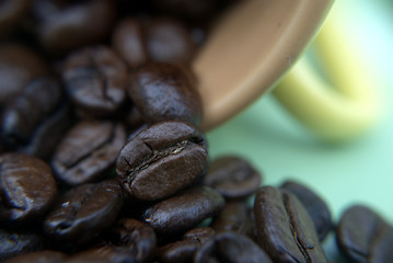 Image showing Brazilian coffee grains in a cup