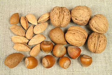 Image showing Diverse nuts