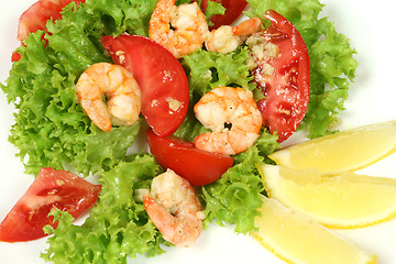 Image showing Shrimp salad