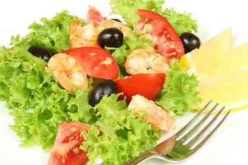 Image showing Seafood salad