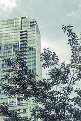 Image showing Teal colored modern building seen through the leaves